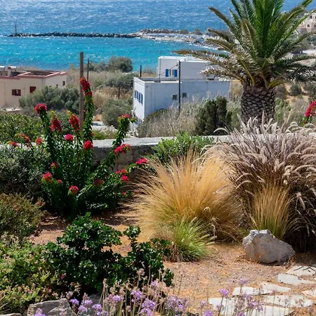 Aelion Villa